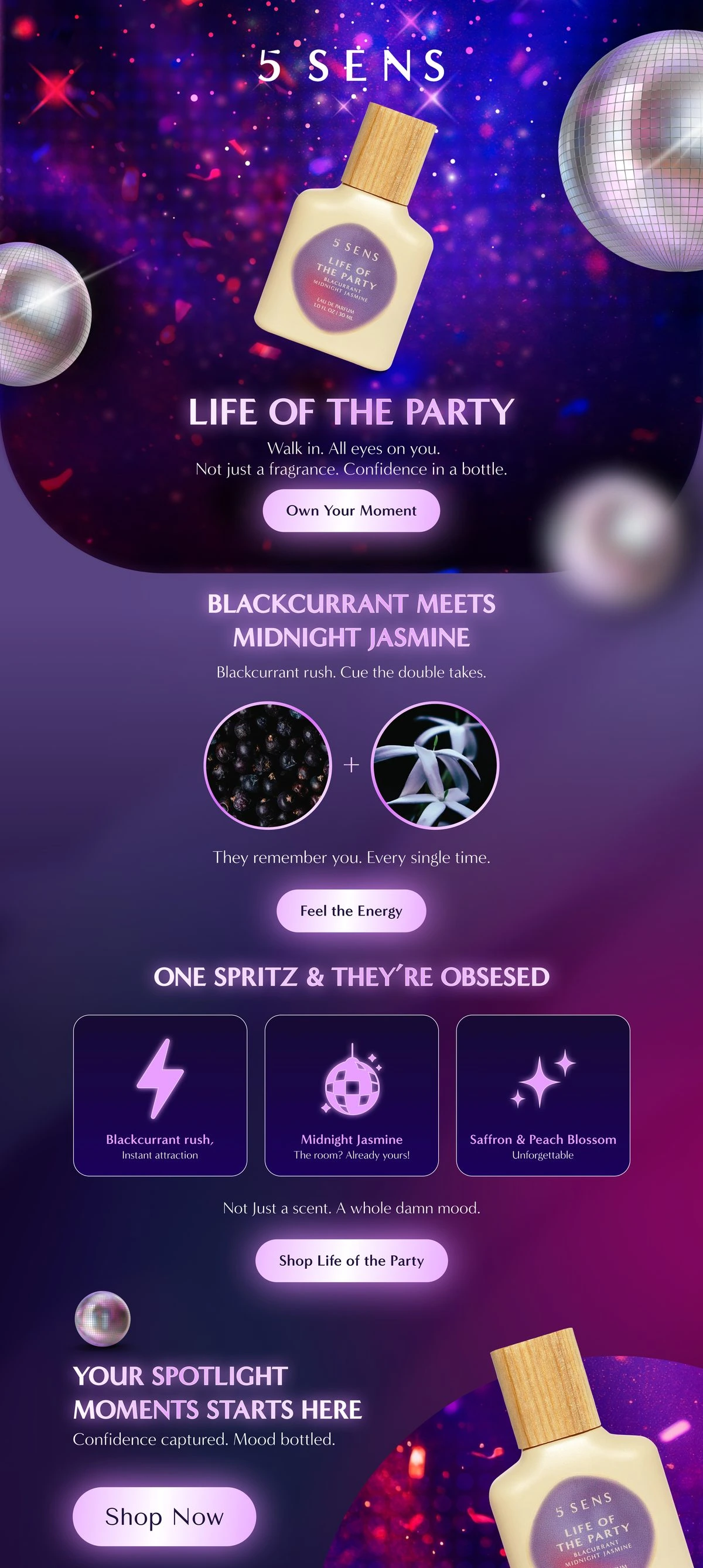 5 SENS Life of the Party spotlight email design